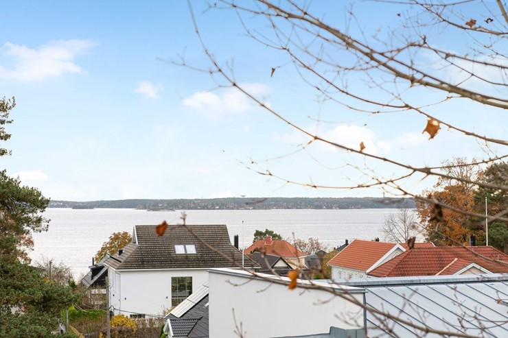 OL_perfectshot_OSS2280_web