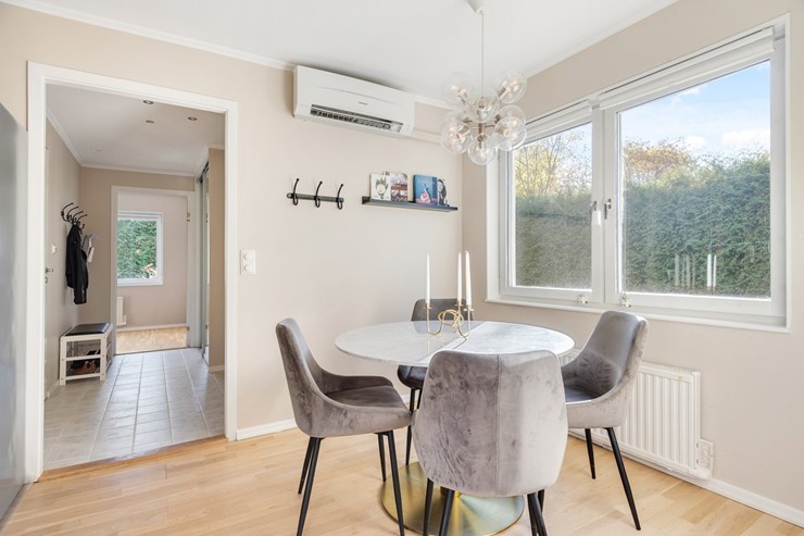 OL_perfectshot_ZF74104_web