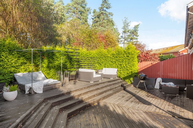 OL_perfectshot_ZF74010_print