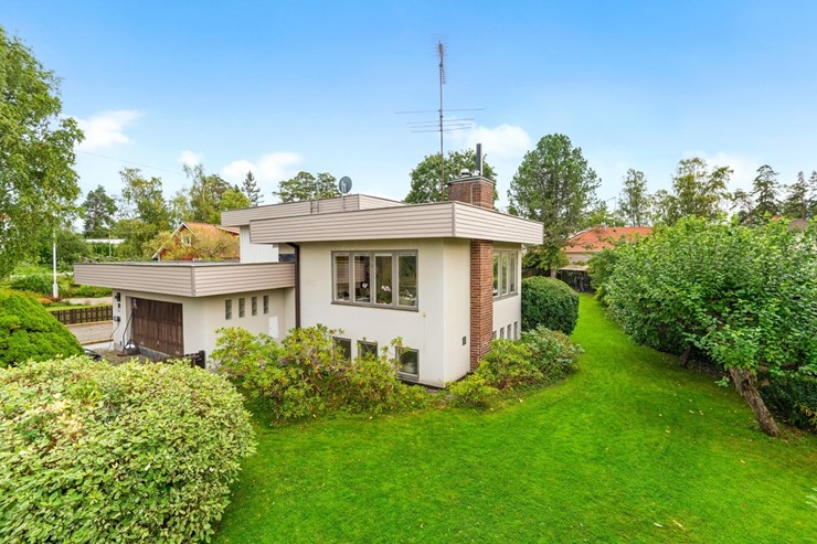 OL_perfectshot_OSS5819