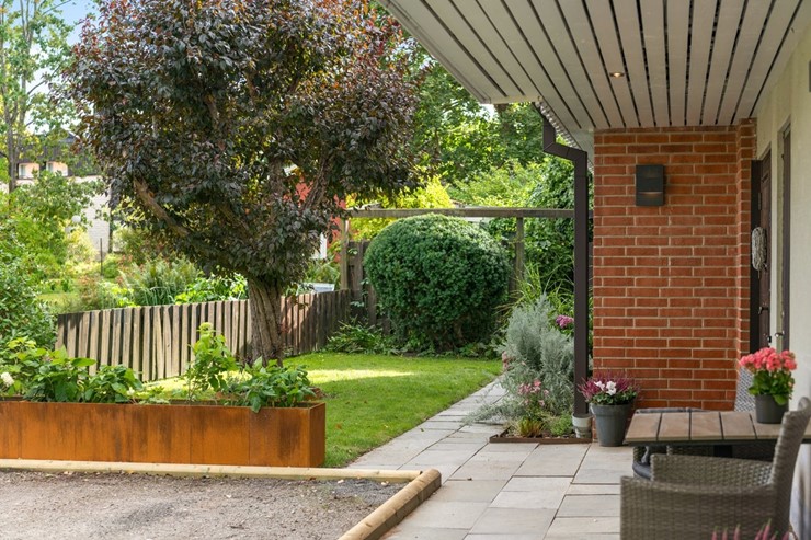 OL_perfectshot_OSS5706