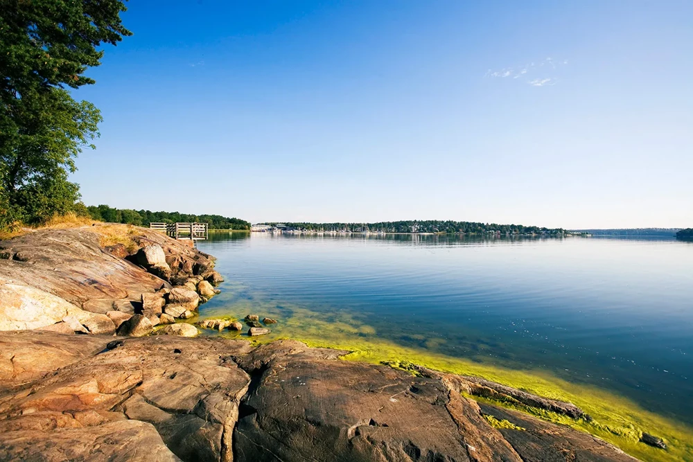 Välkommen till Näsbypark